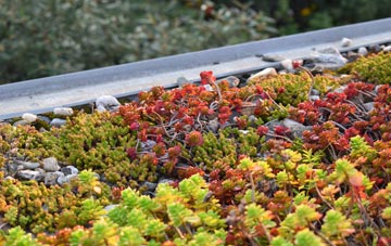 the cost of Upper Fivehead green roof installation