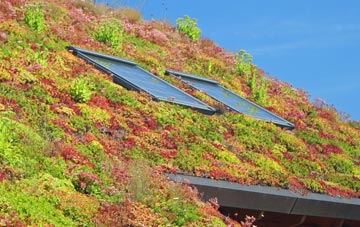 Upper Fivehead living roof systems